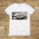 AS_TS_M_2610_27